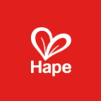 Free Shipping Over $50 | Hape Toys Deals